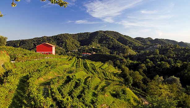 veduta-duca-di-dolle