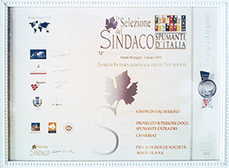 selezione del sindaco 2013